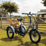 E Bike Dreirad Fat Klapprad E-Bike Lastenfahrrad 20 Zoll 48V 21Ah , Hydraulische Scheibenbremsen Elektrofahrrad, Elektro Lastenfahrrad 180kg Blau – Bild 2