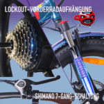 20 Zoll 18AH Elektrofahrrad Pedelec, City E-bike ,Cityräder E-Klapprad 250W Motor,25km/h,E-Bike ,klapprad,LCD-Display,APP – Bild 9