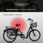 SachsenRad E-Lastenrad T3A Trio Edition 2025 mit Alarmanlage mit LCD Display und StVZO-Zugelassung – Bild 7