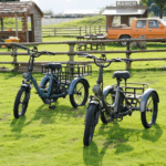 E Bike Dreirad Fat Klapprad E-Bike Lastenfahrrad 20 Zoll 48V 21Ah , Hydraulische Scheibenbremsen Elektrofahrrad, Elektro Lastenfahrrad 180kg Blau – Bild 3