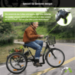 SachsenRad E-Lastenrad T3A Trio Edition 2025 mit Alarmanlage mit LCD Display und StVZO-Zugelassung – Bild 3