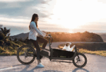 SachsenRAD E-Lastenrad T10 Caribou, Flexible Transportbox mit Versteckter,Abschließbarer Box mit LCD Display und StVZO-Zugelassung für Kindertransport – Bild 4